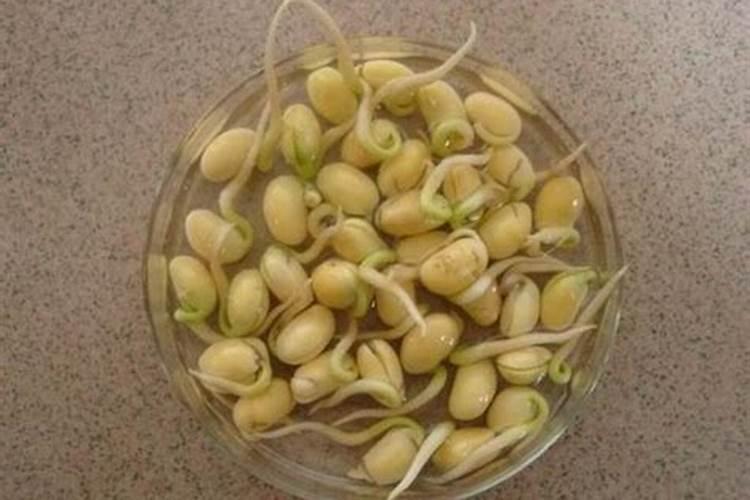 豆子多久浇肥料一次水