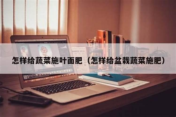 幸福树施肥方法,幸福树施肥用什么肥料