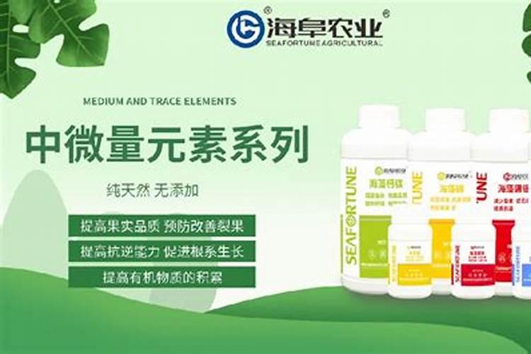 草莓施肥用什么肥料好,草莓种植选肥料需要注意什么