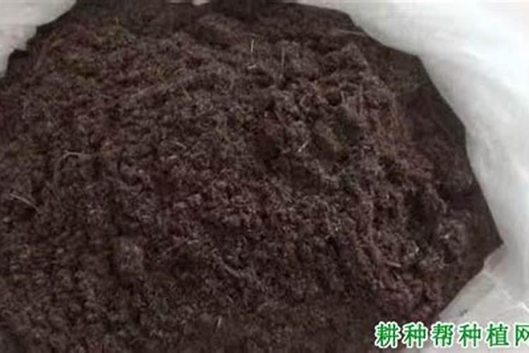 如何区分冷性,温性和热性肥料