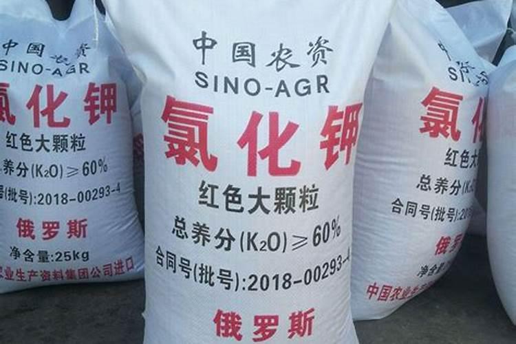 种植西瓜用什么肥料最佳
