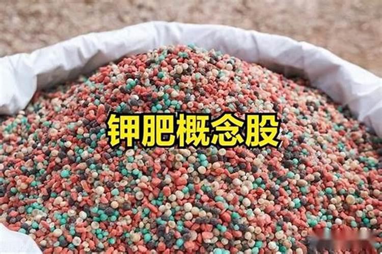 钾肥的上市公司有哪些