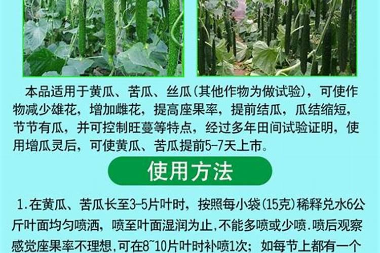 在阳台种植苦瓜必须施肥吗？是什么肥？