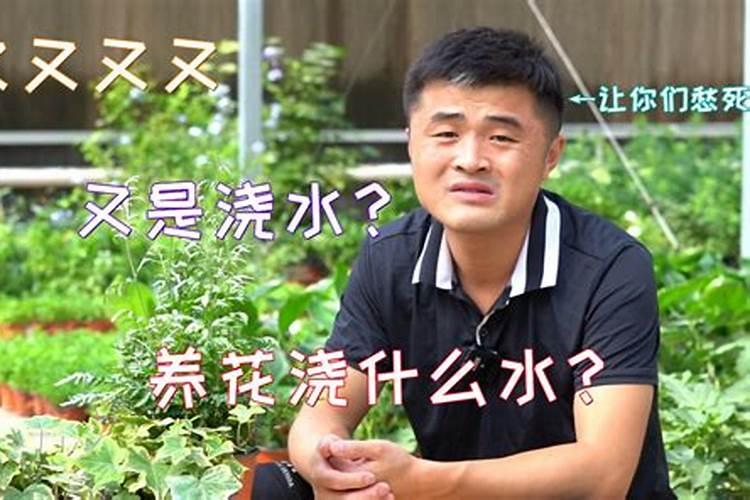 月季多久可以浇一次水溶肥