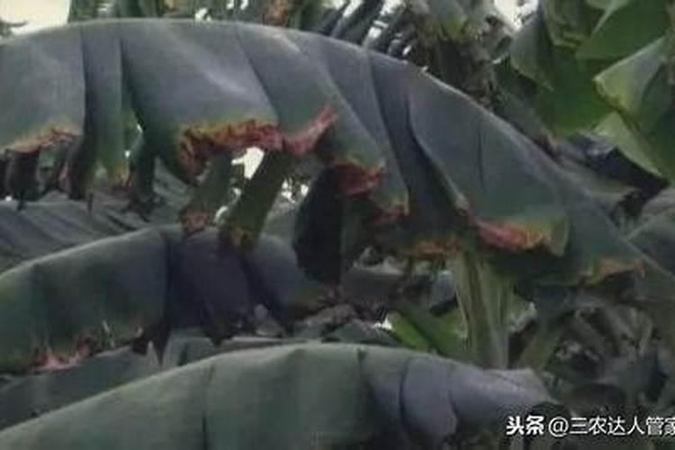 丽江茂源商贸有限公司怎么样？