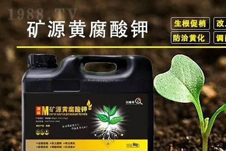 冲施肥的执行标准是什么