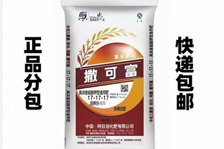 白兰什么时候换盆好