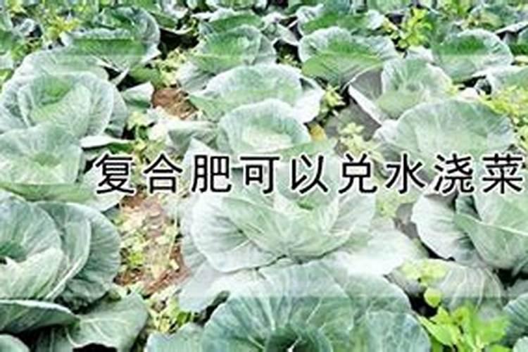 西瓜追肥用什么肥料好