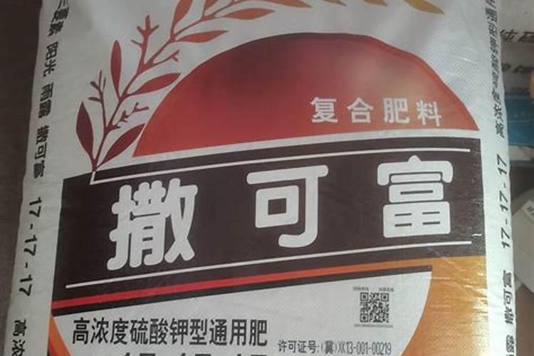 水养植物用什么肥料简单又适用
