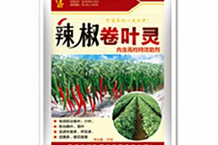 在养花时如何使用磷肥