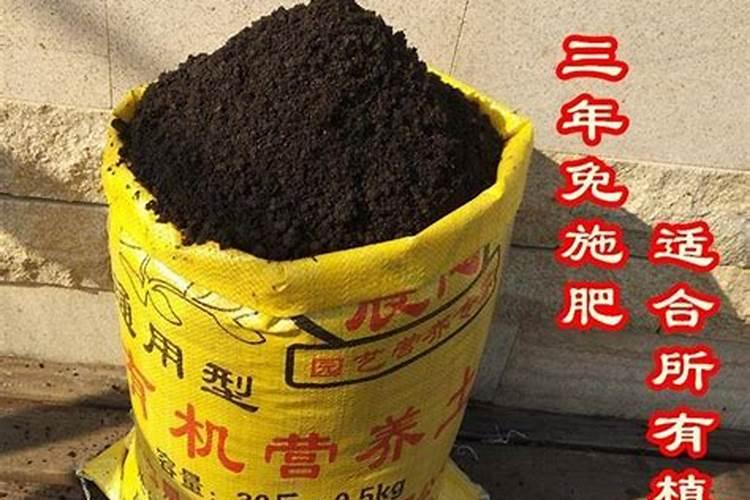 有机肥可以直接用来种花吗？