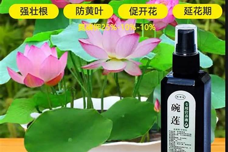 江西微量元素叶面肥木醋液品牌