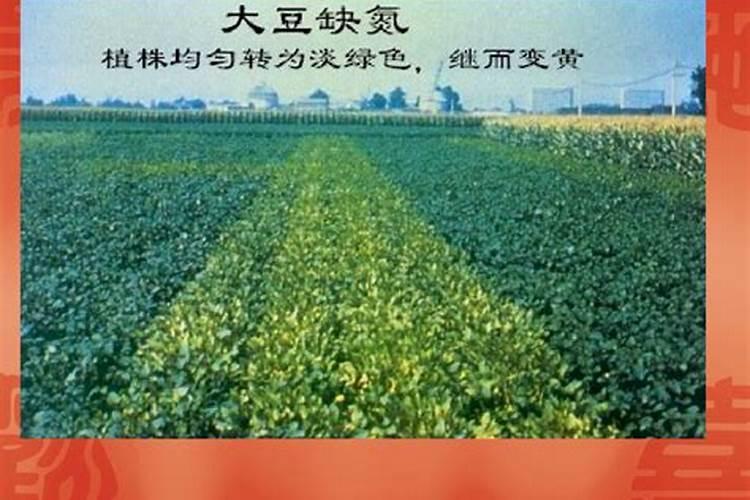 农业上,什么叶面肥可以代替尿素喷施果树？