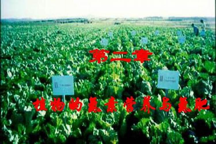 尿素加洗衣粉加食醋喷洒庄稼有什么作用这三样能混用吗？