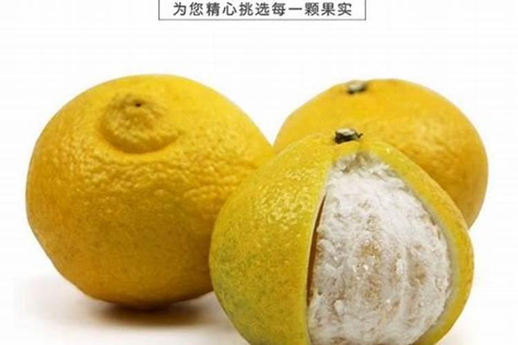 黄金贡柚产品介绍