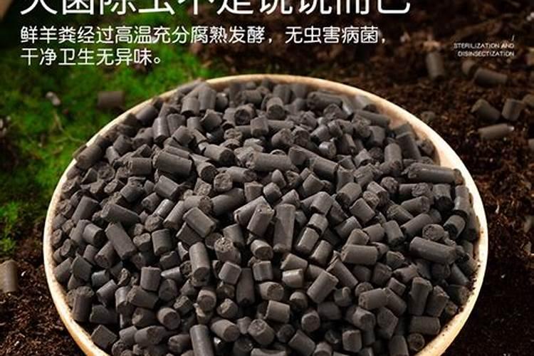 氮肥的主要成分和作用,怎么在家自制