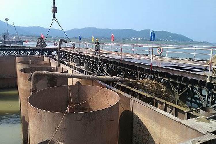 玫瑰浇什么肥料合适