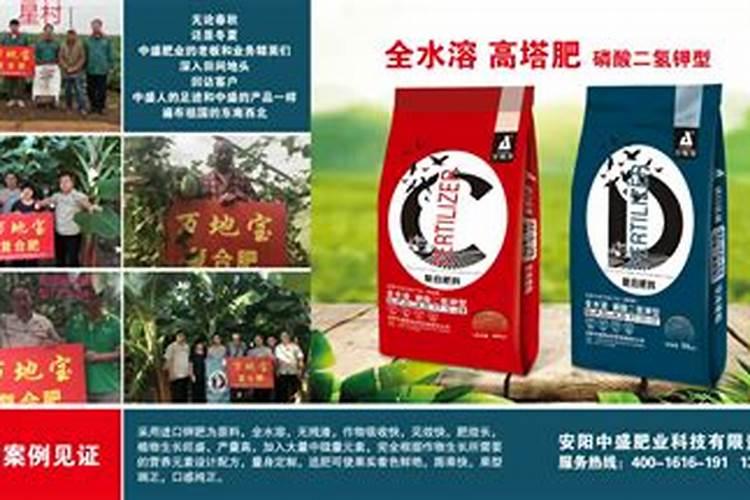 桂花专用肥料第一名