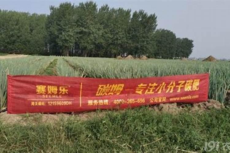 竹子用什么肥料