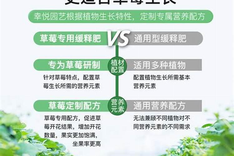 草莓初花期冲什么肥