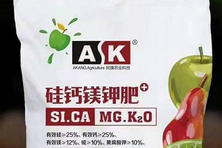 杉树施什么肥最好