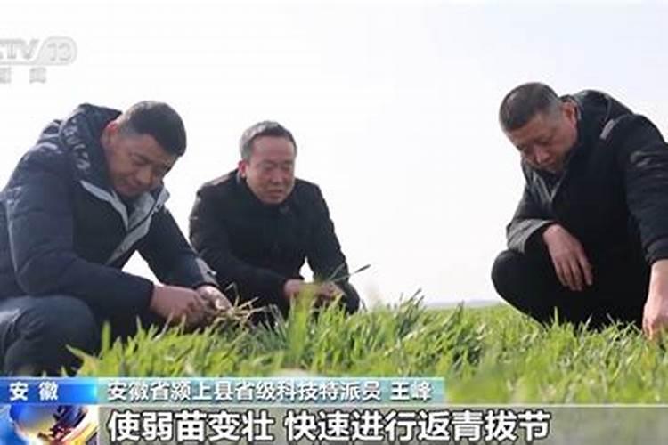 各个行业的旺季分别是？
