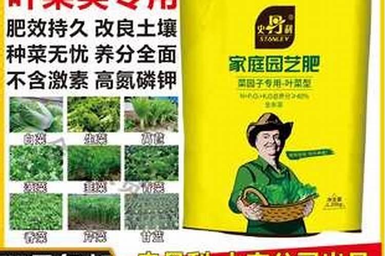 大田土豆灌溉可以使用滴灌管吗