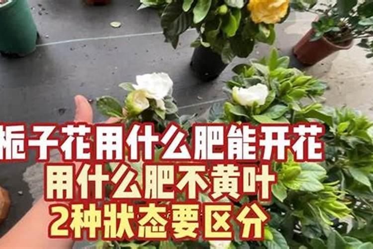 硫酸亚铁花肥怎样使用