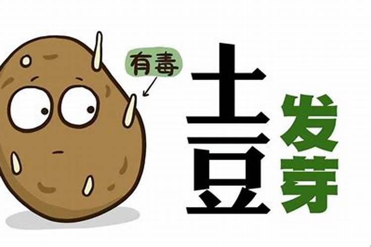 土豆施肥技术要点 马铃薯施肥技术要点