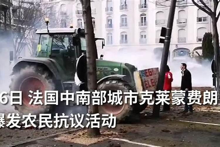 移栽意大利生菜株行距多少？