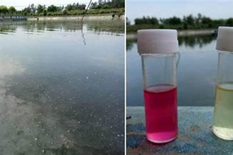 水产养殖亚硝酸盐高了怎么处理啊