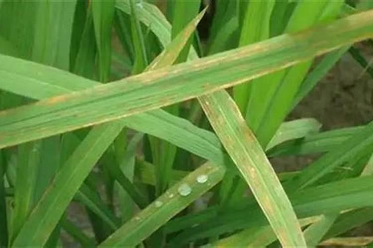 区分氮肥、磷肥、钾肥的方法有 ①看外观.氮肥、钾肥都是白色晶体;磷肥...