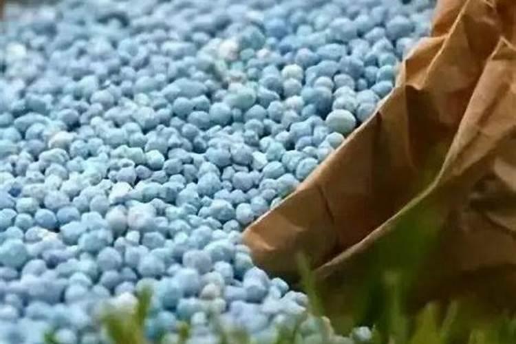 水稻分蘖期是什么时候？水稻分蘖期施什么肥好