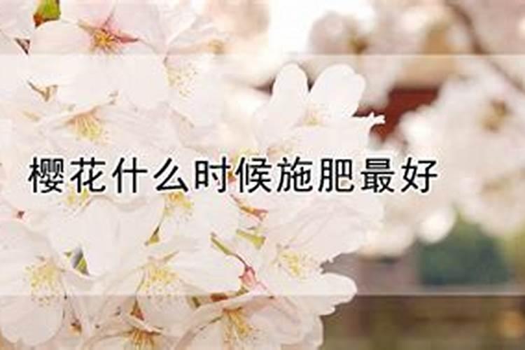 硝酸钾复合肥和硫酸钾复合肥有什么区别