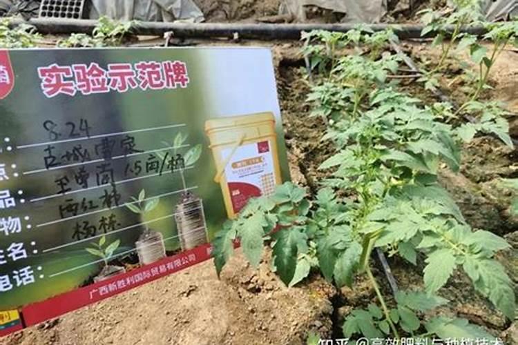 ...喷施钾肥效果最好芹菜生长到什么时期啧施钾肥最好...