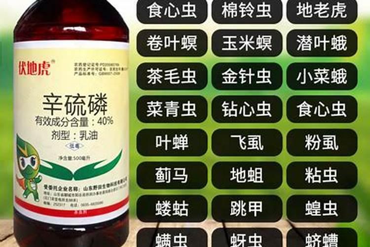 白菜出苗后怎样治虫子,白菜出苗后多久可以施肥