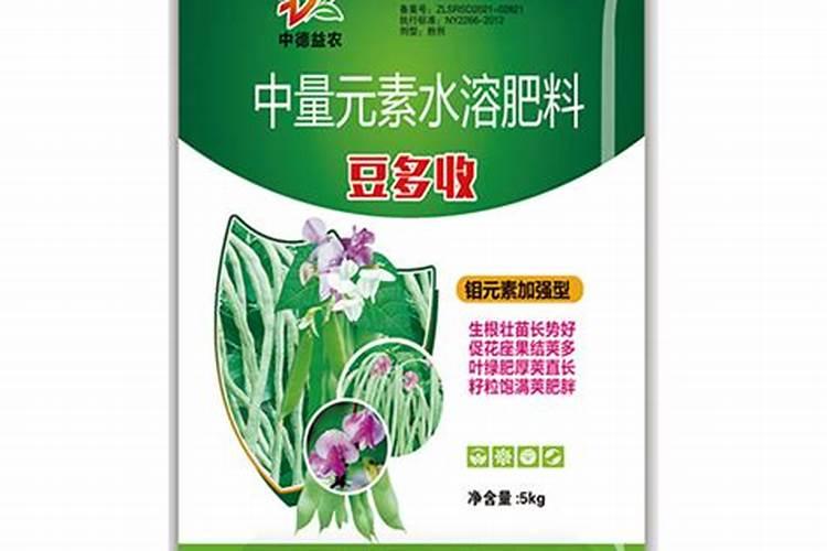 豆角施用水溶肥料技巧有哪些？