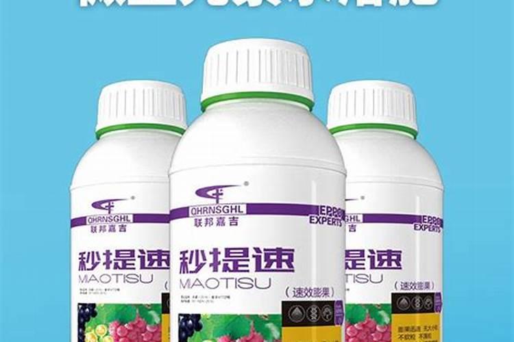 葡萄树施什么肥料最好