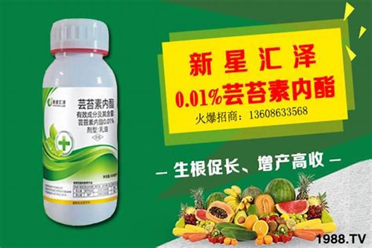 各位老师好,大蒜能用云苔素内酯