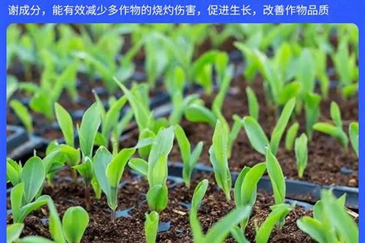 液体氮肥的使用方法 液体氮肥几天见效