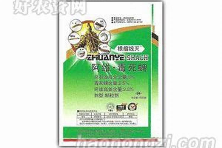 大蒜用药,用叶面肥过l多,蒜苗叶子发干不长,可以打芸苔素解吗