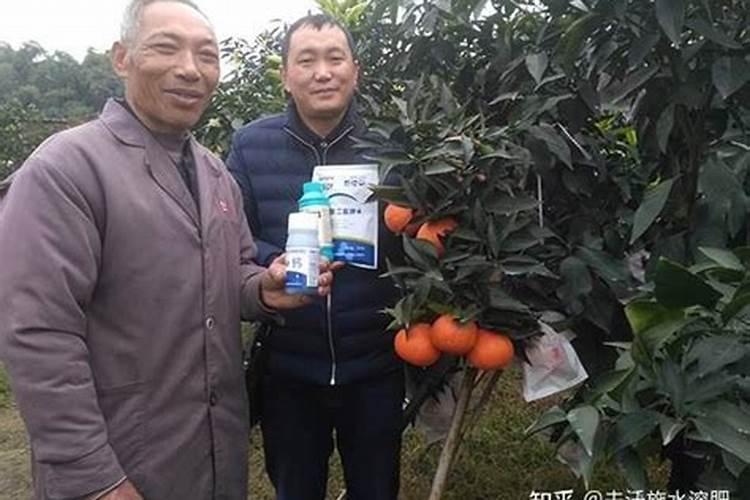 含氨基酸水溶肥料微量元素型标准