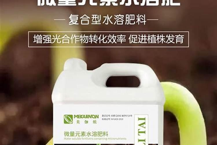 小麦后期喷什么微肥增产增重,死穗怎么防治
