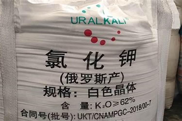 果树施什么肥料最好