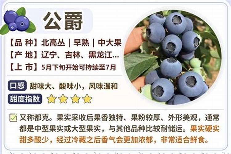 蓝莓施什么肥好？