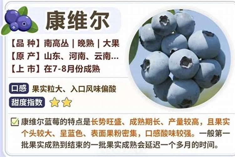 定植蓝莓的方法是什么？