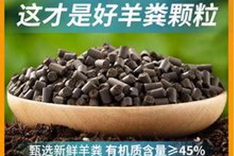 水溶肥菌肥哪个地区使用多