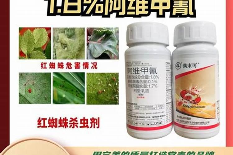 血橙种植技术