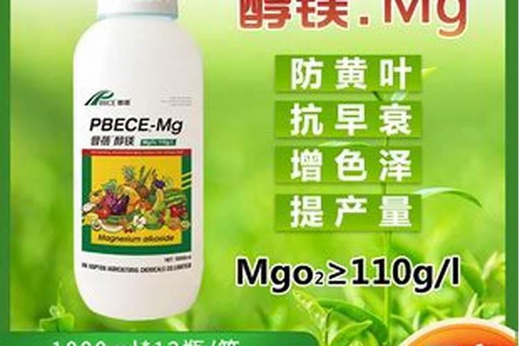 番茄苗黄补救措施是什么？