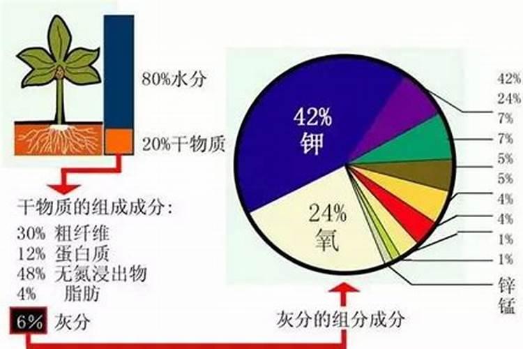 家用化肥哪个是磷肥